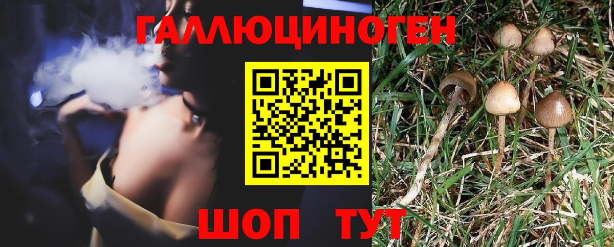 Псилоцибиновые грибы мицелий Серпухов