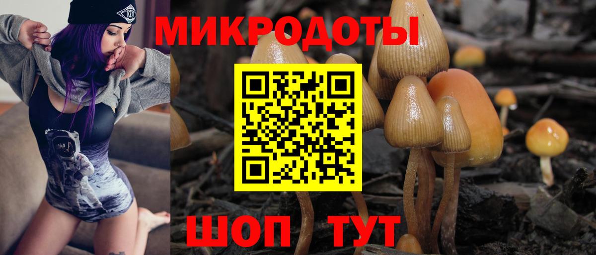 Серпухов  Псилоцибиновые грибы Psilocybine cubensis  Вход с VPN  продажа наркотиков  Псилоцибиновые грибы ЛСД 